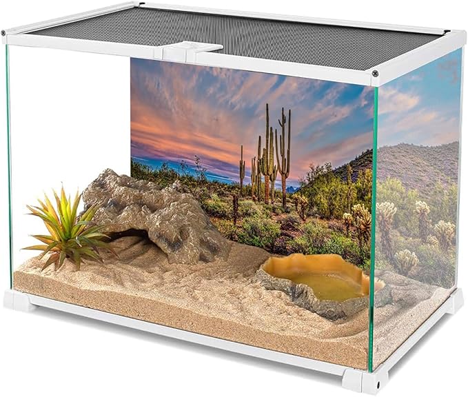 AWERT 72x24 inches Terrarium Background Blue Sky Cloud Huge Cactus Oasis Gobi Reptile Habitat Background Vinyl