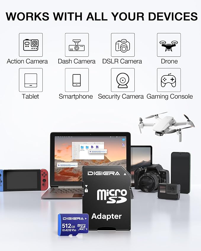 DIGIERA 512GB LT100 microSDXC UHS-I Memory Card