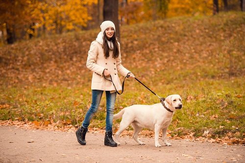 HotHands Toe Warmers - Long-Lasting Heat for Cold Feet | Perfect for Outdoor Activities