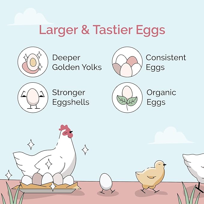 Organic Chicken Feed – Layer Mash, Non-GMO, USA Grown, 16% Protein, Corn-Free, Soy-Free, Non-Medicated Feed for Chickens, 46 lbs