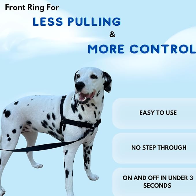 ShawnCo Dream Walk No-Pull Dog Harness- Adjustable, Comfortable, Easy to Use Pet Halter to Help Stop Pulling for Small, Medium and Large Dogs (ICY Lilac, S)