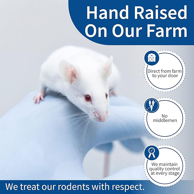 MiceDirect 100 Frozen Mice Combo Pack of 50 Weanlings and 50 Small Adult Feeders Snake Food for Mice for Adult Sand Boa Corn Milk Snakes (2-3 in)(Pack of 100)(1600 Grams Min)