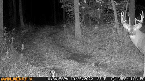 Muddy Manifest Cellular Camera with SD Card - Verizon