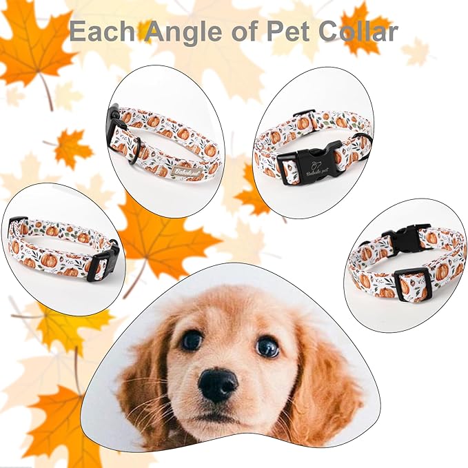Fall Dog Collar, Cute Orange Pumpkin Pattern Puppy Collar, Soft Comfort Adjustable Holiday Thanksgiving Dog Collars for Small Medium Large Boy&Girl Dogs XS
