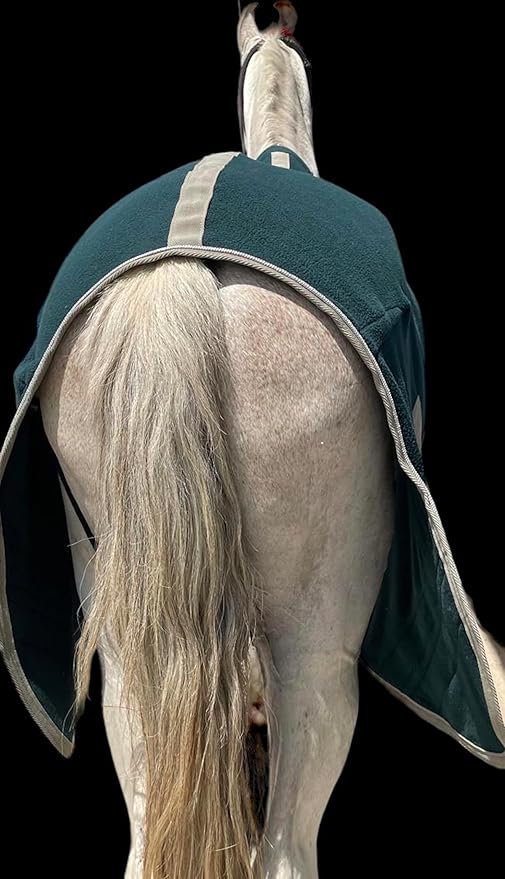 Majestic Ally Anti Pill Fleece Horse Blanket/Sheet with Silver Braided Rope (Hunter Green, 74)