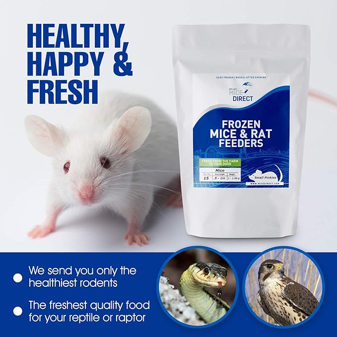 MiceDirect EST. 2003 25 Frozen Rat Jumbo Feeders Snake Food for Adult Red Tail Boas (9-11 in)(6875 Grams Min)