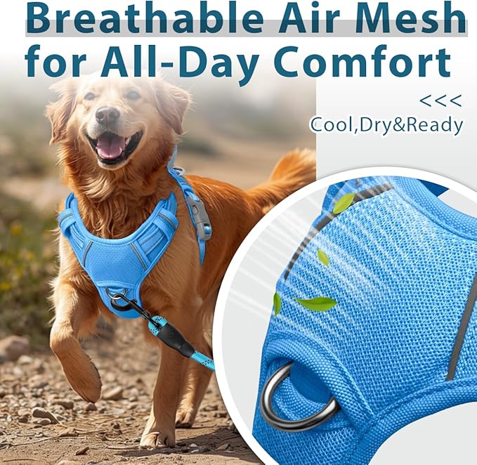 BARKBAY Dog Harness No Pull with ID Tag Pocket - Heavy Duty, Reflective, Easy Control for Large Dogs(Blue,M)