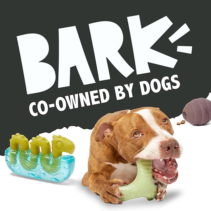 Barkbox Tug Tied Toad Dog Toy for Tough Chewers – Durable Rubber Design, Perfect for Tug-of-War