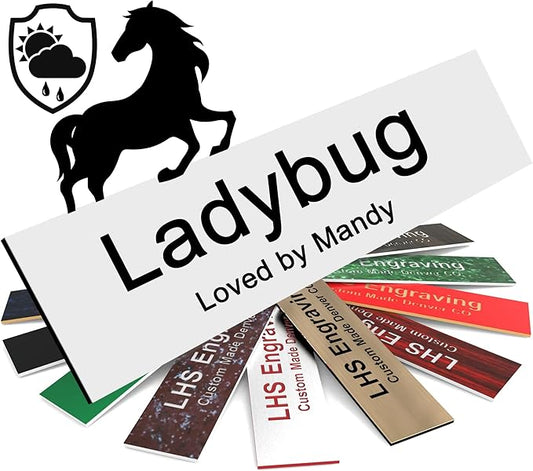Personalized Horse Stall Name Plates, 2x8 Horse Stall Signs with Adhesive, All Weather UV Protected, White Plastic Black Letters - Made in USA - B16