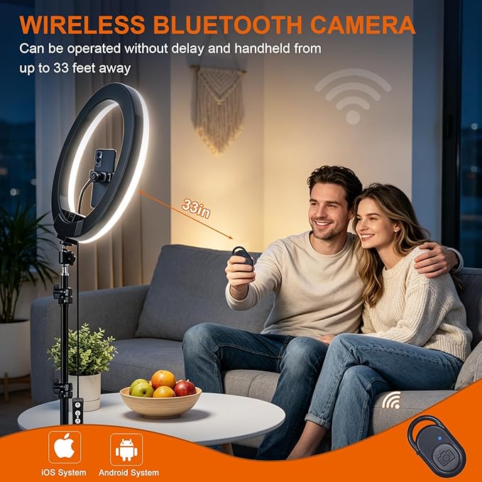 10" Selfie Ring Light with 73" Tripod Stand & 1 Phone Holder, LED Camera