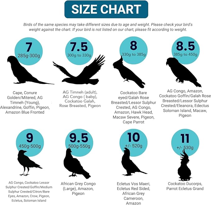 Bev's Bird Boutique Regular Flyper Adjustable Bird Diaper | Reusable, Washable Cloth | Comfort Fit for Parrot, Cockatiels, & Other Small Birds | Fashionable Avian Accessories, Tuxedo, Size 7.5