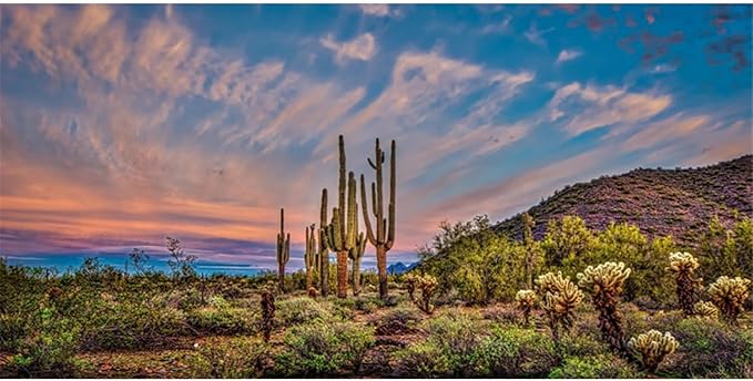 AWERT 72x24 inches Terrarium Background Blue Sky Cloud Huge Cactus Oasis Gobi Reptile Habitat Background Vinyl