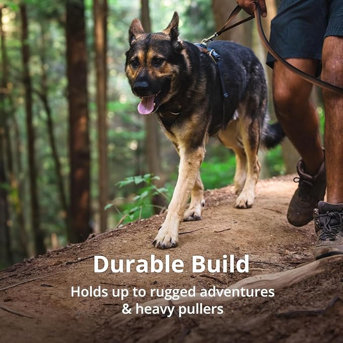 Ruffwear, Front Range Dog Harness, Reflective Soft Padded Everyday Harness with Dual Leash Clips, Adjustable and Lightweight Fit for Training or Walking for All Dogs, Moonlight Mountains, Small