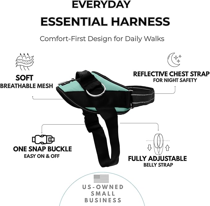 ShawnCo Essential Dog Harness, No-Pull Pet Vest with 3 Leash Clips, No Choke, Reflective, Adjustable and Padded, for Easy Walking and Training for Small, Medium and Large Dogs (Seafoam, XL)