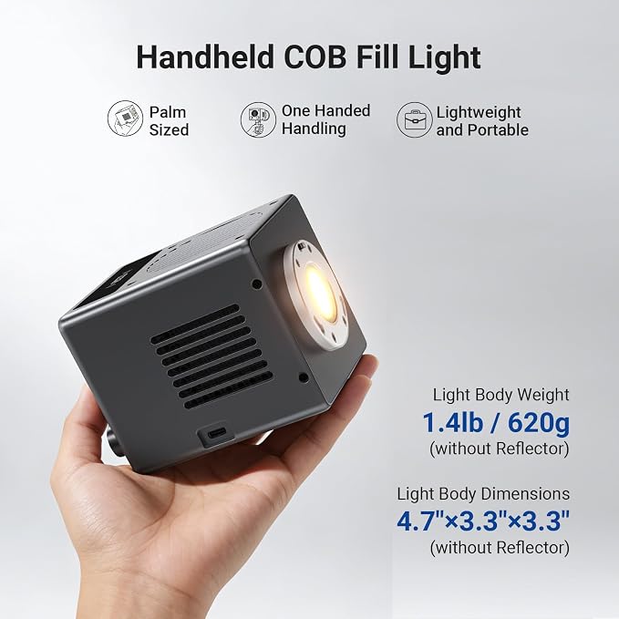 NEEWER 60W Mini LED Video Light