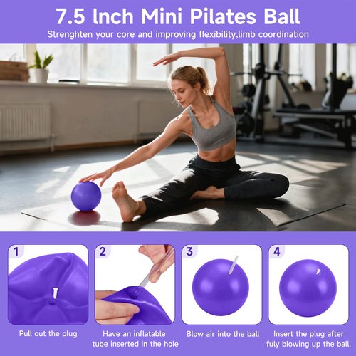 Home Pilates Essentials Kit for Women, Pilates Equipment Ring and Ball Set, 12'' Magic Circle, Yoga Ball,8 Resistance Bands Premium Accessories Kits for Starter Toning Workouts at Home (Purple)