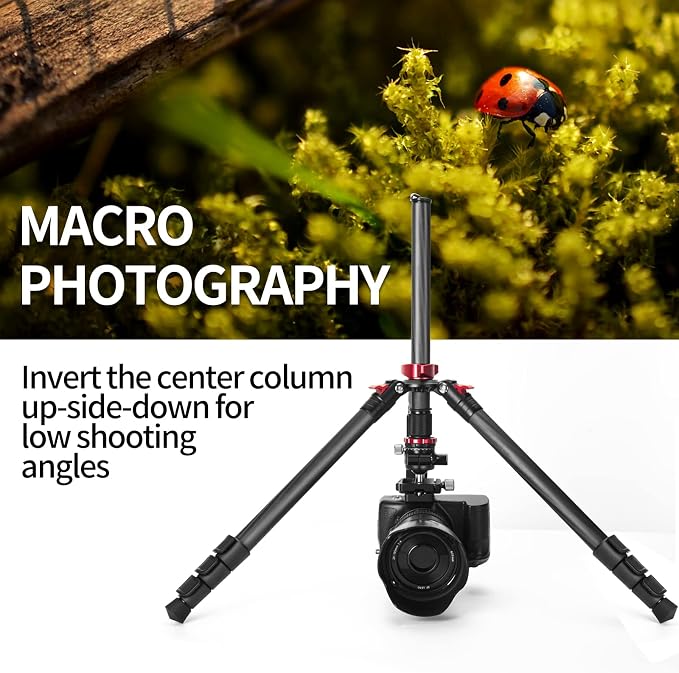 CAVIX 62" Professional Carbon Fiber Camera Tripod, Tripod & Monopod 2 in 1