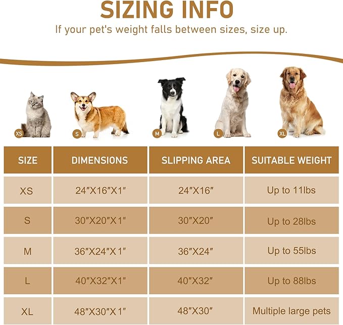 Smiry Dog Door Mat for Muddy Paws 48x30, Absorbs Moisture and Dirt Doormat, Non-Slip Washable Quick Dry Chenille Front Door Mat Indoor Entrance, Entryway Carpet for Inside Floor, Atlantic Blue