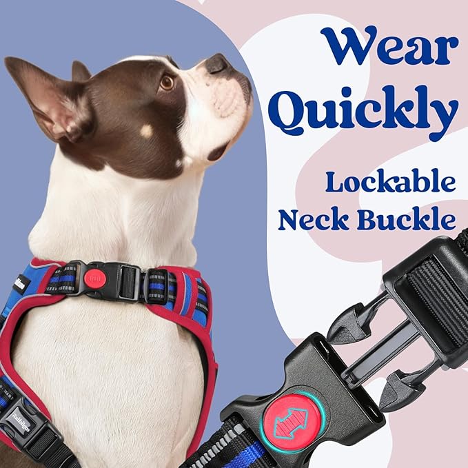 rabbitgoo Dog Harness Small Sized, No Pull Pet Harness with 3 Buckles, Adjustable Soft Padded Vest with Control Handle, Walking Reflective Pet Vest for Small Dogs, Royal Blue & Red, S