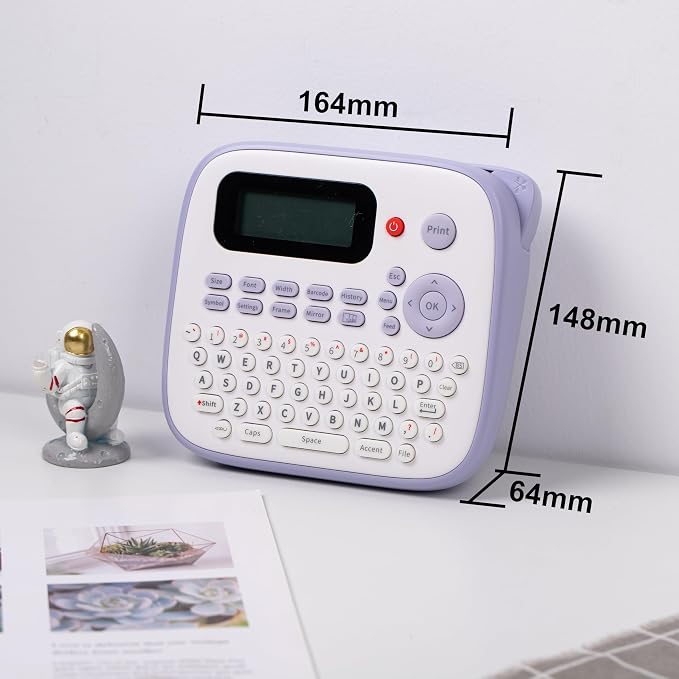 Vixic Label Maker Machine with Tapes, D210S Portable Label Maker, Label Maker