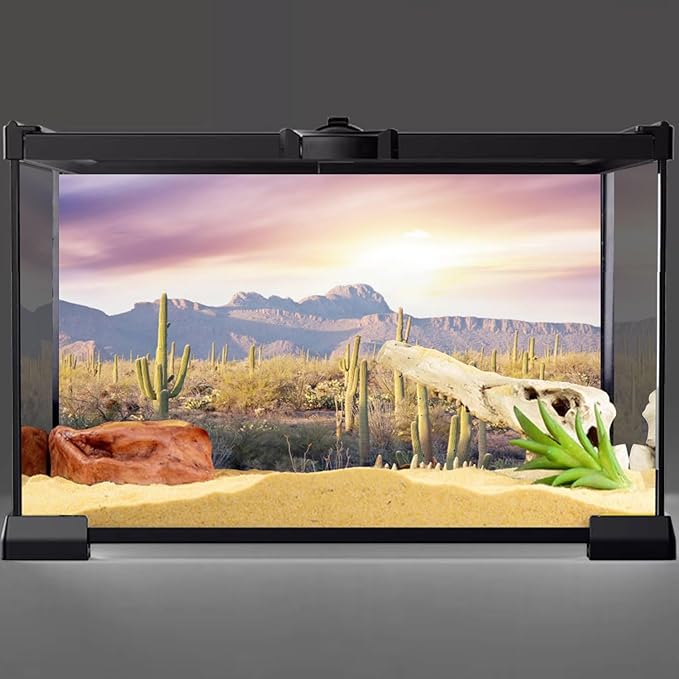 AWERT Reptile Habitat Background Blue Sky Oasis Mountain Cactus Sun and Desert Terrarium Background 36x20 inches