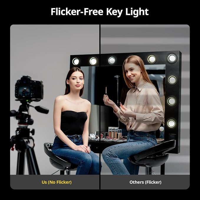 RALENO Softbox Photography Lighting Kit, Continuous Light