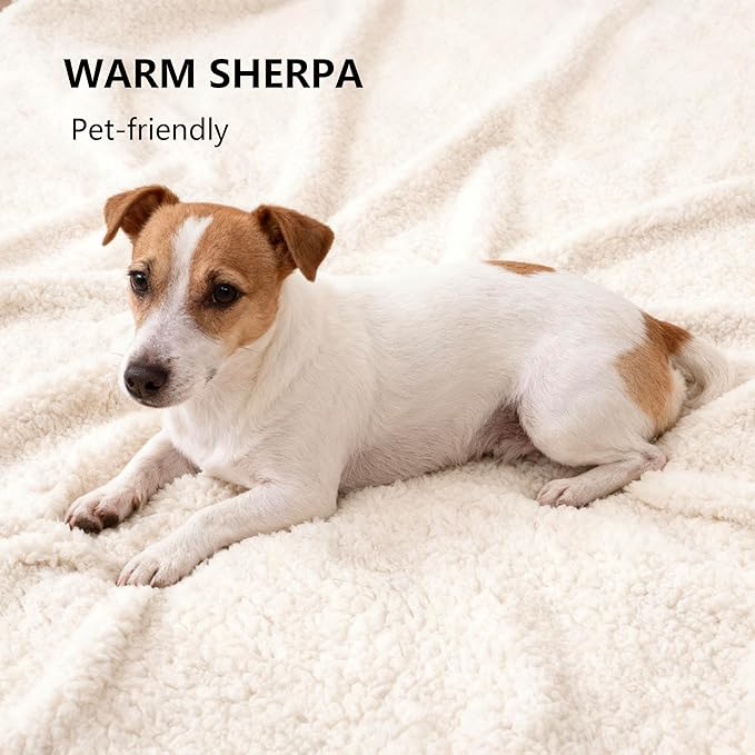 Waterproof Dog Blanket for Medium Dog, Leak Proof Pet Couch Sherpa Throw Blankets for Cat, Reversible Sofa Bed Protector Machine Washable-30 x40,Beige