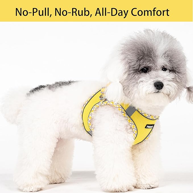 Petank Dog Harness for Small Medium Dogs No Pull, Puppy Harness and Leash Set for Walking, Running, Training, Small Dog Harness, Medium Dog Harness (Yellow, L)