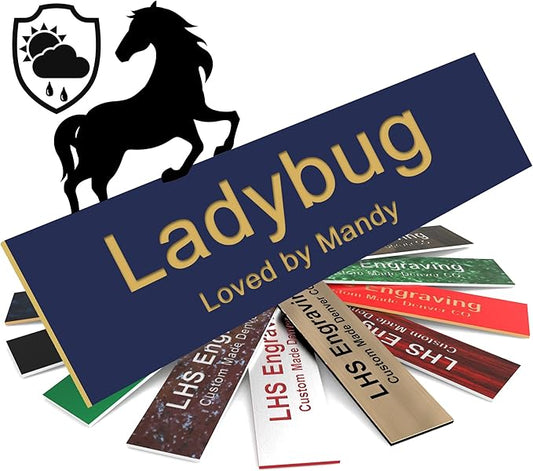 Personalized Horse Stall Name Plates, 2x10 Horse Stall Signs with Adhesive, All Weather UV Protected, Navy Blue Plastic with Gold Letters - Made in USA - B10