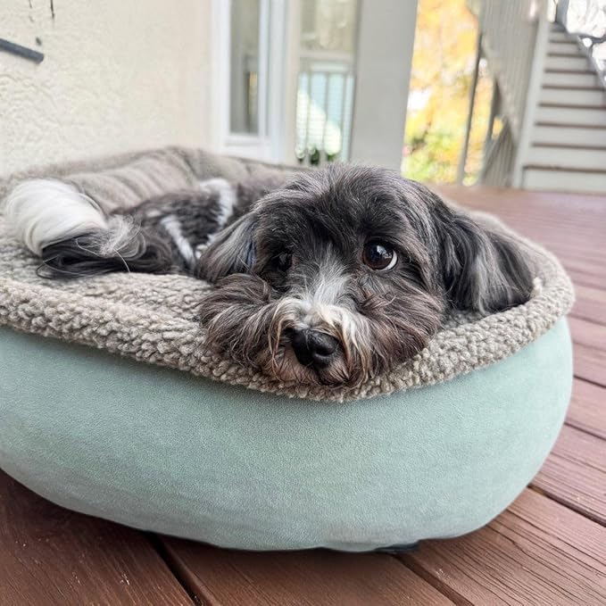 CAROLINA PET COMPANY Microfiber & Tipped Berber Comfy Cup Dog Bed - Blue, L