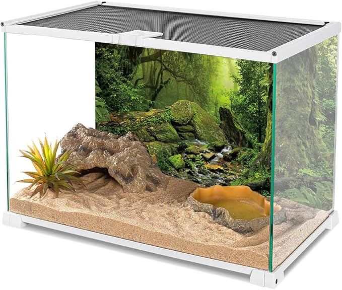 AWERT Tropical Forest Terrarium Background Stream Green Huge Tree Reptile Habitat Background Foggy Rainforest Aquarium Background 36x20 inches Durable Polyester Background