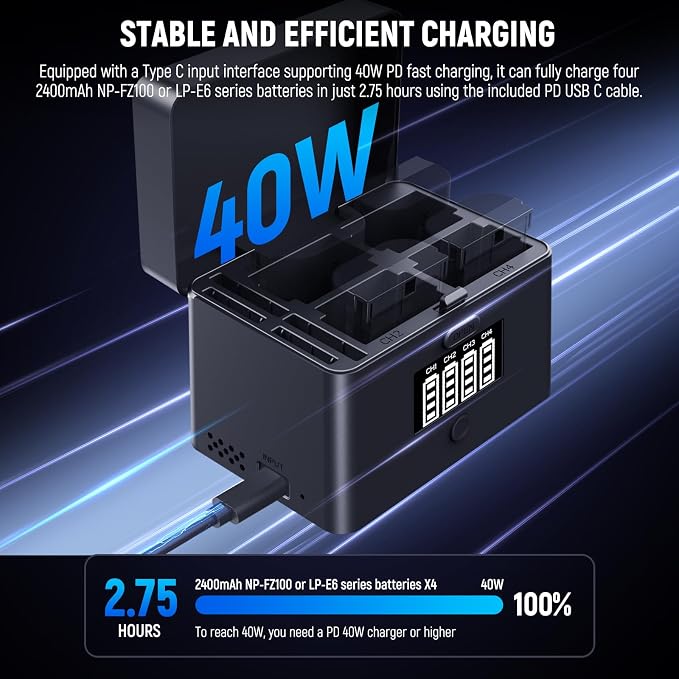 NEEWER 2 in 1 Four Channel USB Battery Charger