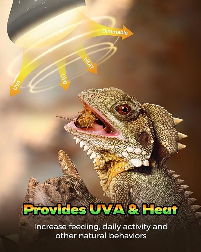 Reptile Heat Lamp, 2 Pack 75W Heat Lamp Bulbs for Reptiles, Amphibians Basking Heat Lamp Bulbs, UVA Daylight Basking Light for Reptiles, Bearded Dragon, Lizard, Turtle, Chicken