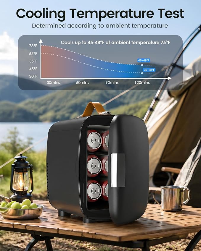 FANSEXPERT Cosmetic Fridge, Portable Mini Fridge for Skincare Food Drinks, 4L/6 Can Electric Plug In Cooler & Warmer, AC/DC Skincare Refrigerator for Bedroom Office Car Dorm (Black)
