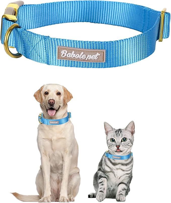 Nylon Dog Collar - Adjustable Blue Soft Webbing Dog Collars for Small Medium Large Dogs Boy Girl Puppy Collar with Safety Metal Buckle XS