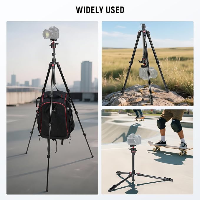NEEWER Basics Travel Tripod for Camera, Ball Head, Arca Type QR Plate, Cell