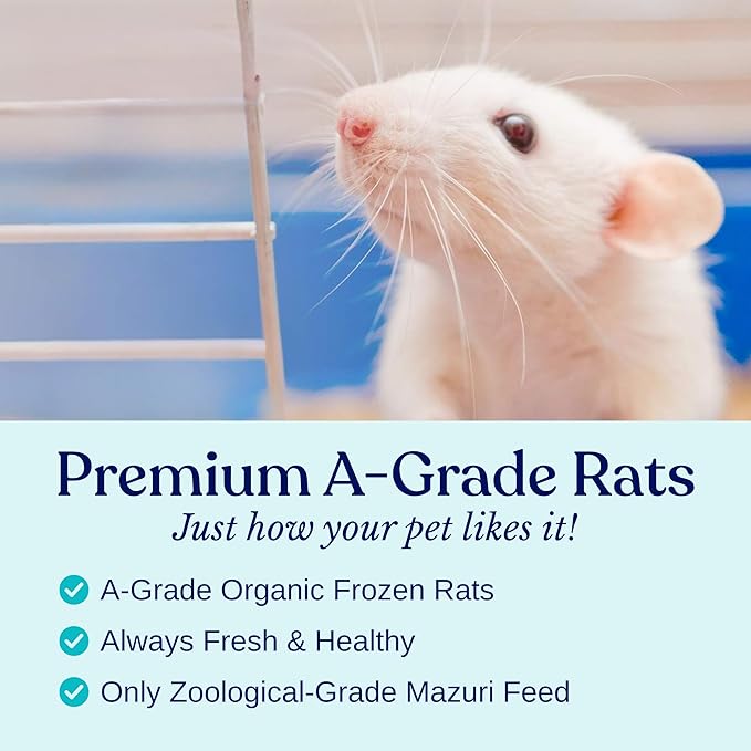 MiceDirect EST. 2003 40 Frozen Rat Small Feeders Snake Food for Adult Ball Pythons and Red Tail Boas Lizards Monitors (4.5-6 in)(1800 Grams Min)