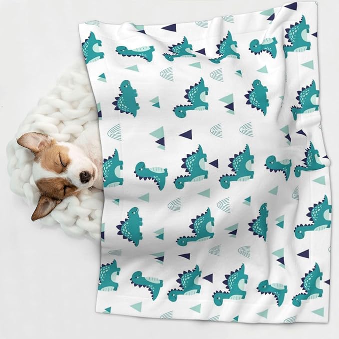 Reversible Plush Dot Pet Blanket for Dogs and Cats, Funny Dinosaur Green, Ultra Soft Two Sided Design with Warm Fuzzy Side and Smooth Side for Comfort