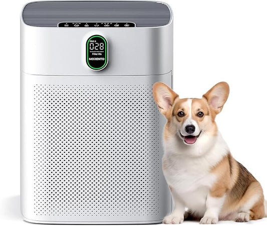 MORENTO Air Purifiers for Home Large Room up to 1076 Sq Ft with PM 2.5 Display Air Quality Sensor for Pet Hair, Double-Sided Air Inlet, 24db, White, 1 Pack + 2 Pack Filters