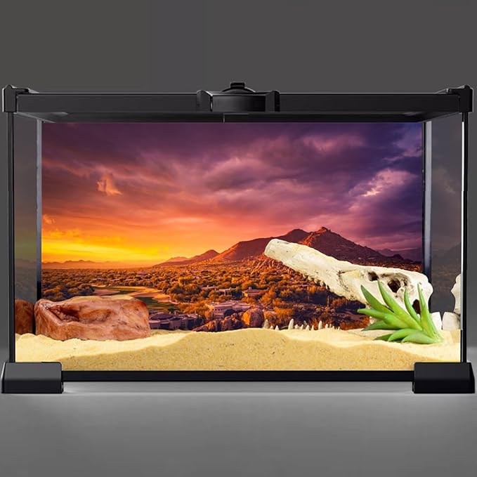AWERT 36x20 inches Sun and Desert Terrarium Background Mountain Oasis Gobi Reptile Habitat Background Vinyl