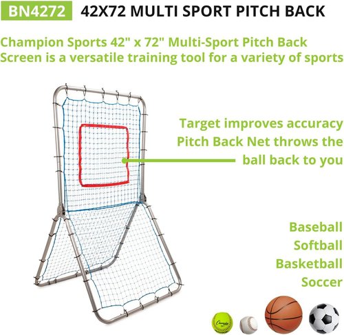 Champion Sports Pitchback Net & Rebounder - Multi-Sport Training Screen with Strike Zone Target