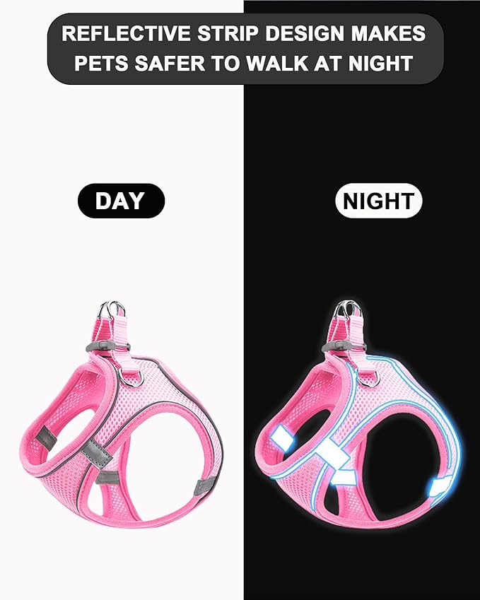 XXS Orange Soft Mesh Dog Harness and Leash Set,No Escape Puppy Harnesses for Training Walking， Reflective Adjustable Puppy Vest for Small Medium Dogs, Cats (Orange, XXS)