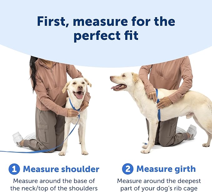 PetSafe Easy Walk Comfort No-Pull Dog Harness - Better Walk Training Harness - Full Body Padded Design - Durable Fabric - 5 Point Adjustable Fit - Everyday Leash Training - Green - Small/Medium