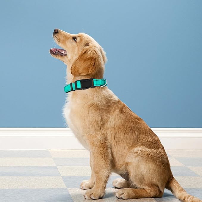 Reflective Dog Collar, Adjustable Soft Neoprene Padded Nylon Pet Collars with Buckle for Puppy and Small Dogs, Cats, Teal,XS