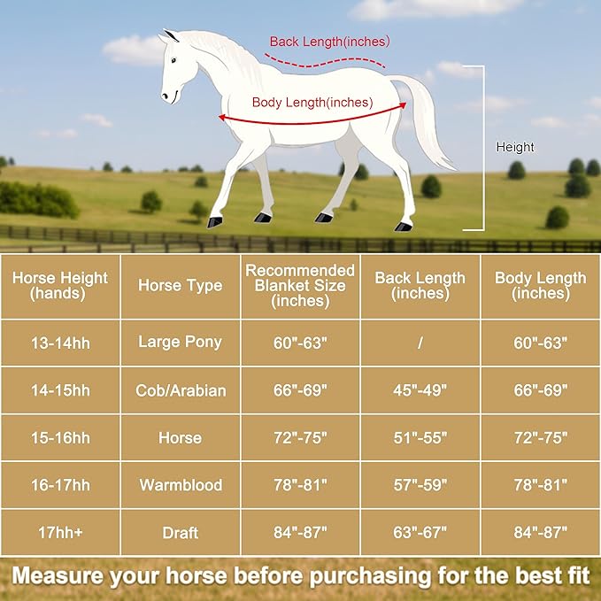 Horse Fleece Cooler, Blanket Liner - 300g Anti-Pilling Fleece, Moisture-Wicking, Cooling & Drying for Post-Workout, Bath & Travel, Prevent Overheating & Chilling Navy 75