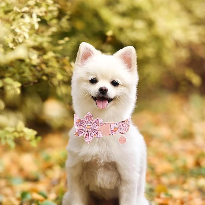 Halloween Dog Collar With Flower, Pink Puppy Collar With Adjustable Metal Buckle, Fancy Bowtie Gift for Girl Boy Dog, XS
