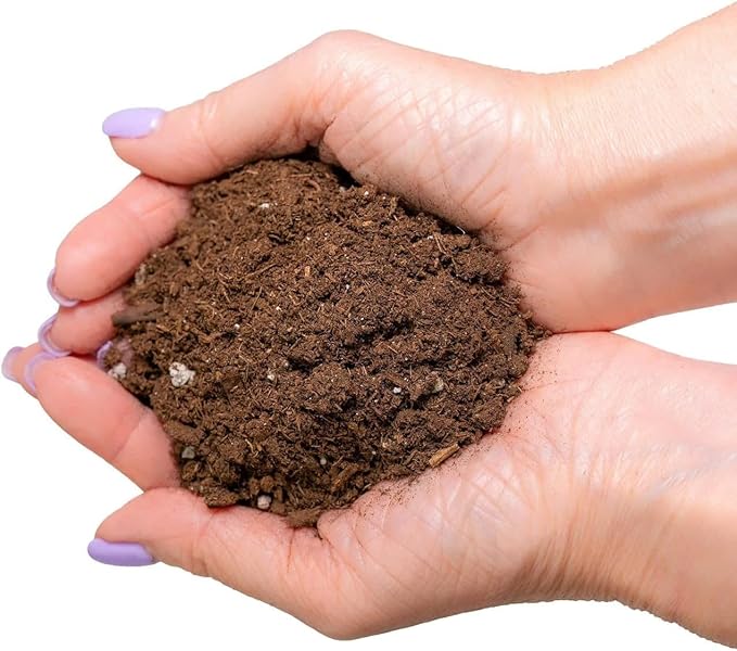 GARDENERA Citrus Tree Potting Soil Mix, Special Blend for Indoor Oranges, Lemons, Limes and More - (1 Quart Bag)