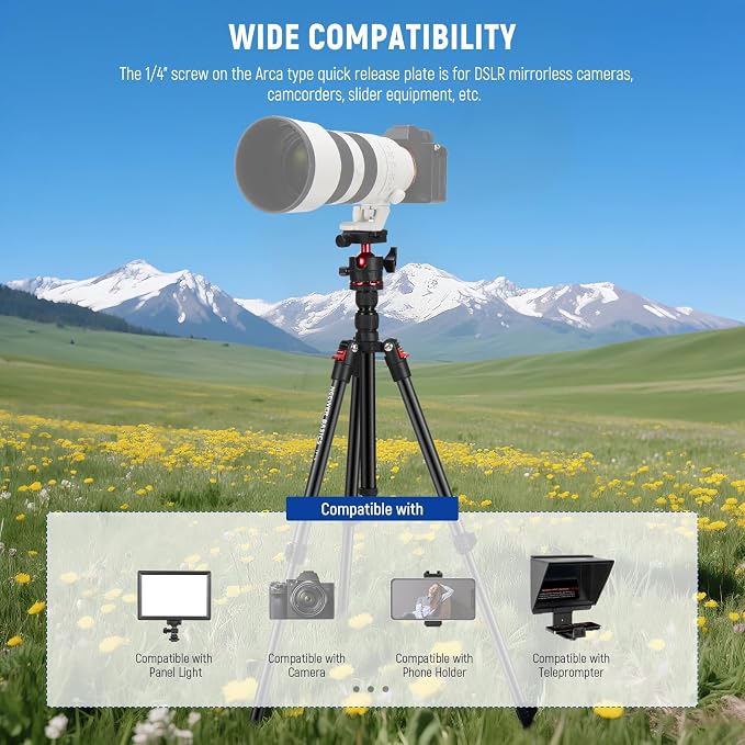 NEEWER Basics Travel Tripod for Camera, Ball Head, Arca Type QR Plate, Cell