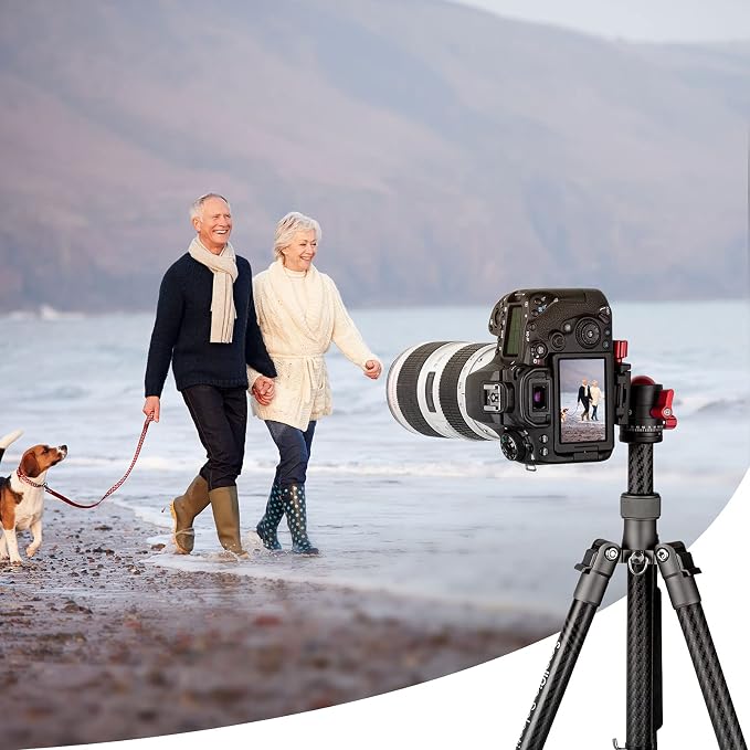 SmallRig Tripod Ball Head 360 Degree Rotating Panoramic Ballhead