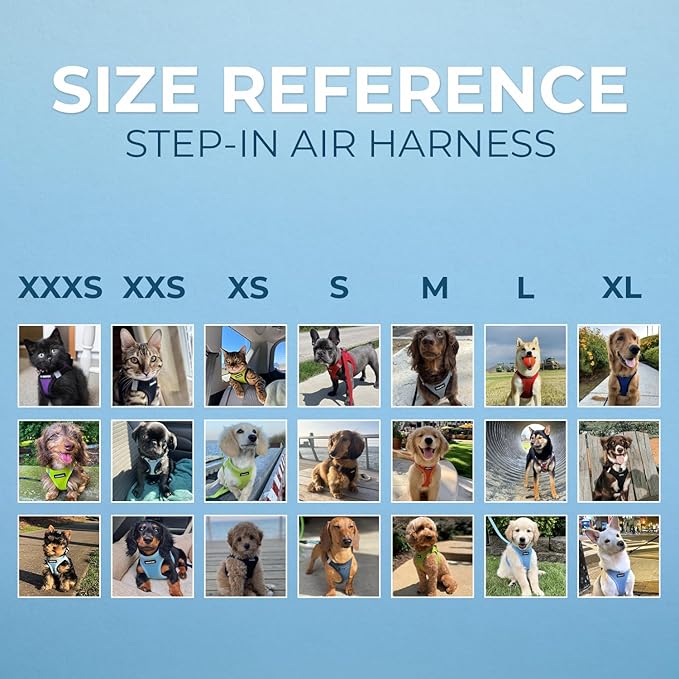 Best Pet Supplies - All Weather Mesh/Plush, Reflective, No Pull Harness for Small, Medium Dogs, Cats - Secure with Hook & Loop Fastener, Buckle, Double D-Rings - Black/Blue Trim, XL
